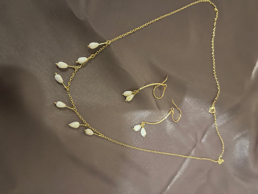 Small seashell set